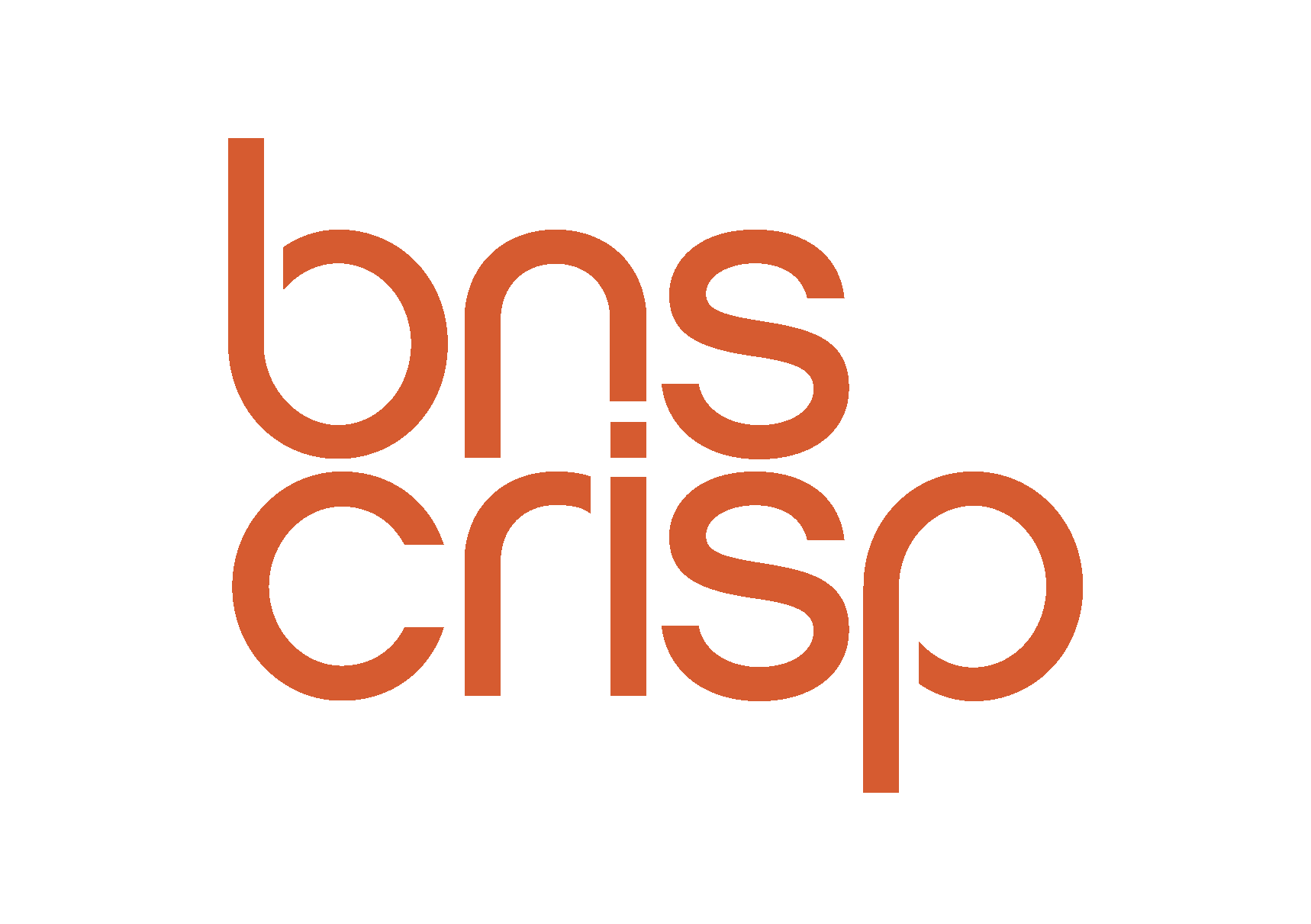 Bns crisp logo